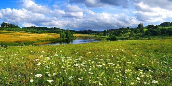 Warmia – poznaj najciekawsze zabytki i atrakcje regionu