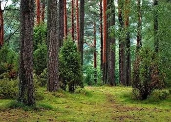 Parki Narodowe w Polsce - krótki przewodnik