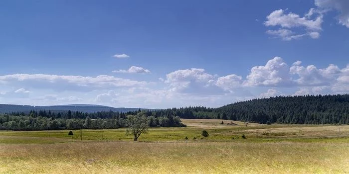 Izerski Park Ciemnego Nieba - niezwykła atrakcja!