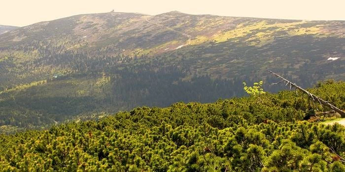 Jesienny pobyt w Sudetach – polecane hotele i pensjonaty