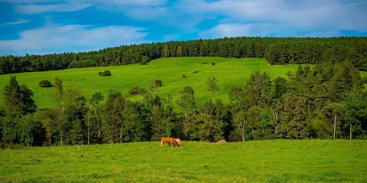 Beskid Żywiecki czy Śląski? Gdzie na nocleg w górach - Emoti.pl
