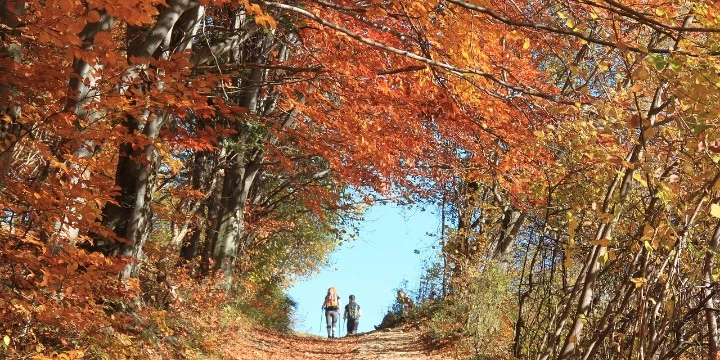 Pieniny jesienią – najlepsze hotele na weekend - Emoti.pl
