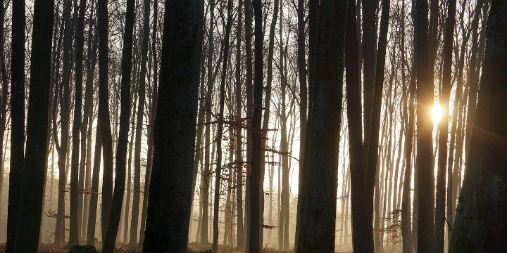 Najlepsze noclegi w górach na jesień - Emoti.pl