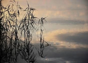 Spa na Warmii i Mazurach - kameralne obiekty nad jeziorem