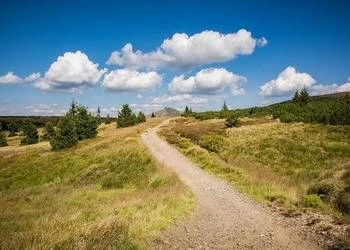 Hotele „pet-friendly” w Karkonoszach – gdzie z psem?