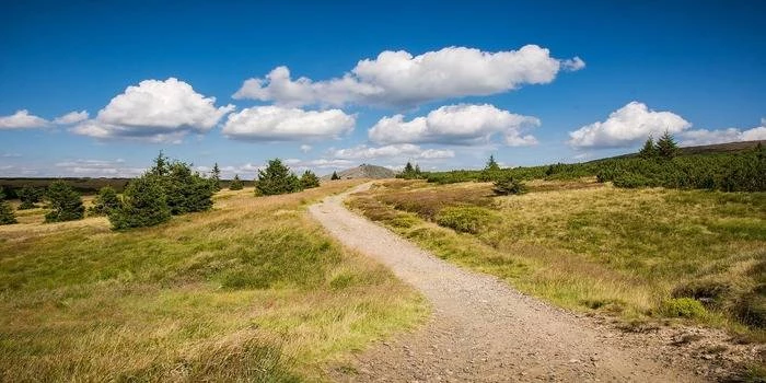 Hotele „pet-friendly” w Karkonoszach – gdzie z psem?