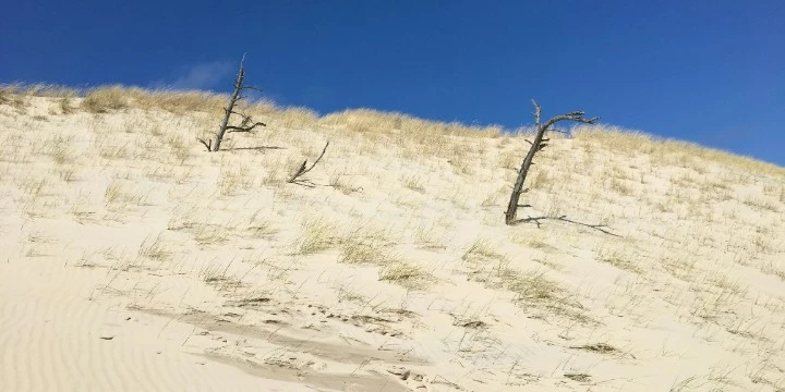 Relaks w Łebie poza sezonem - hotele ze spa - Emoti.pl