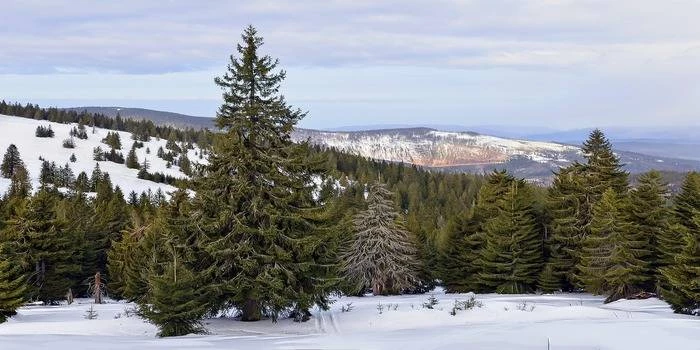Rodzinny hotel w Beskidach na ferie