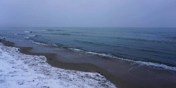 TOP hotele w Trójmieście na zimowy spacer po plaży