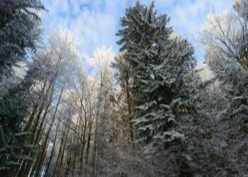 City break vs. weekend w naturze — co wybrać zimą?