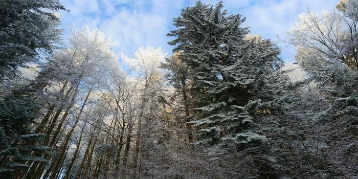 City break vs. weekend w naturze — co wybrać zimą?