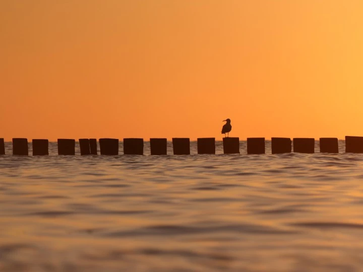 Termy nad morzem w Polsce - gdzie udać się na relaks - Emoti.pl