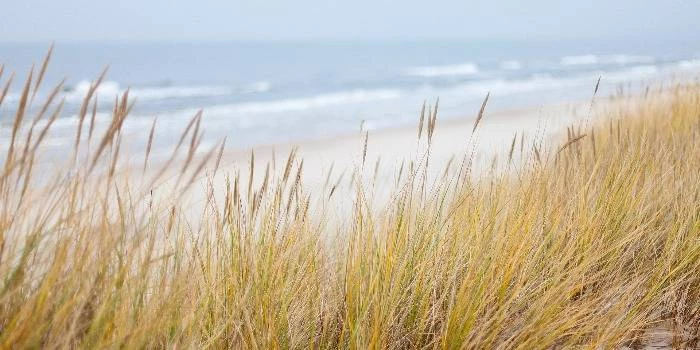 Termy nad morzem w Polsce – gdzie połączyć plażę z relaksem?