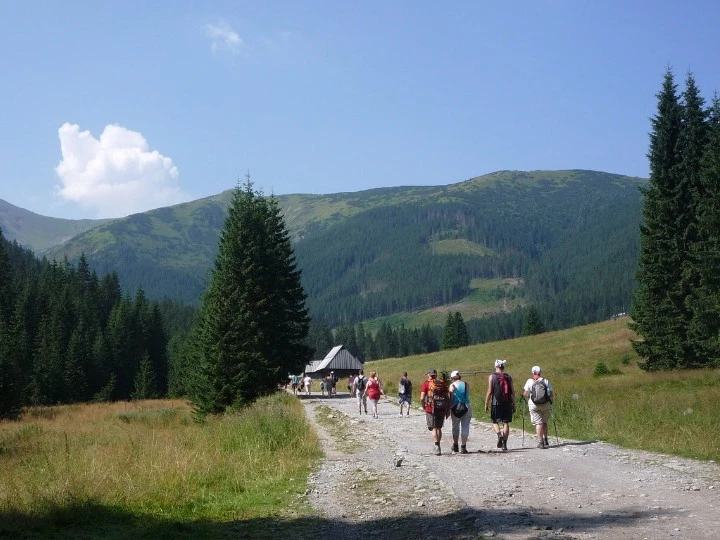 Dolina Chochołowska - wszystko, co trzeba wiedzieć! - Emoti.pl