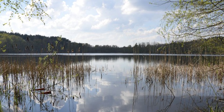 Rezydencjia Pestkownica, 1-7 nocy, 2 os. - Emoti.pl