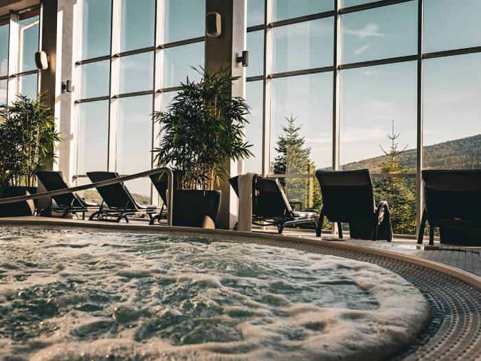 Biały Kamień Hotel & Medi-Spa - Świeradów-Zdrój