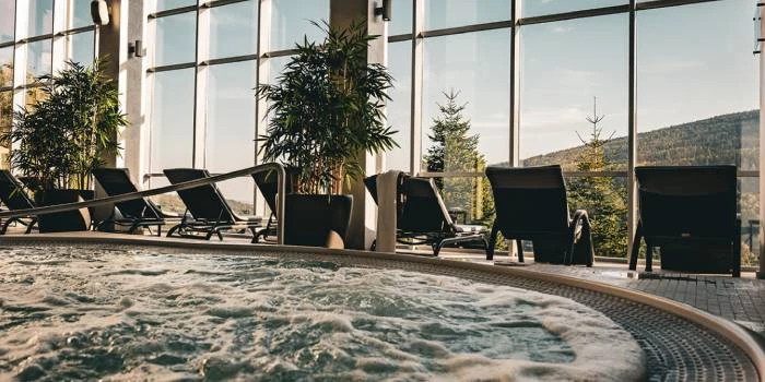 Biały Kamień Hotel & Medi-Spa - Świeradów-Zdrój